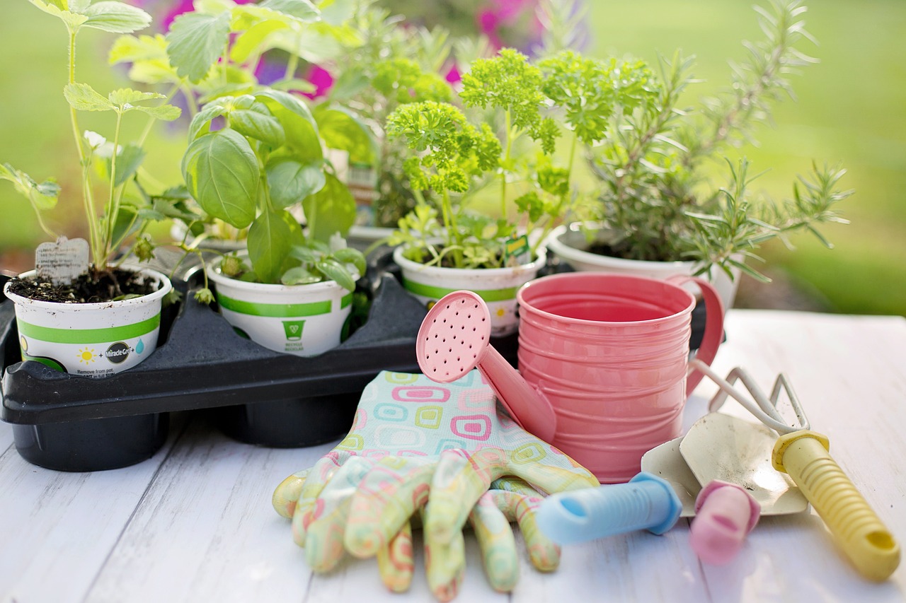 Understanding the Connection Between Eco-Friendly Gardening and Wildlife Conservation